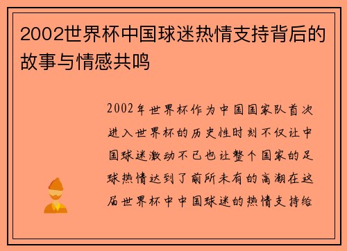 2002世界杯中国球迷热情支持背后的故事与情感共鸣