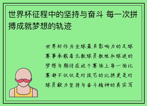 世界杯征程中的坚持与奋斗 每一次拼搏成就梦想的轨迹